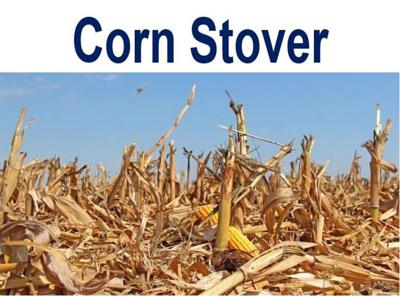 Corn stover