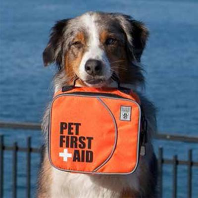 First aid kit for pets