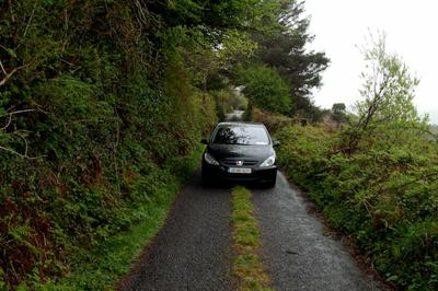 Guide on driving on narrow roads