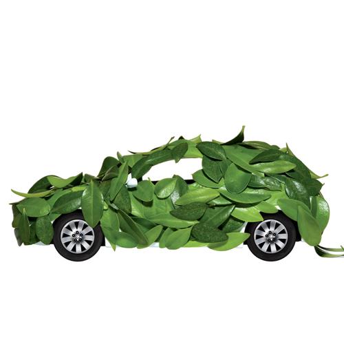Green car shopping tips